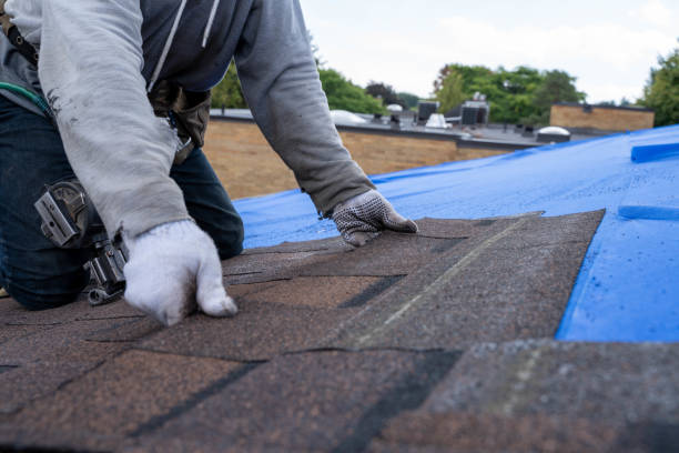 Best Gutter Installation and Roofing  in Ashley, PA