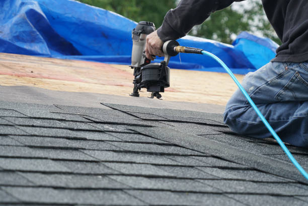 Best Roof Maintenance Services  in Ashley, PA