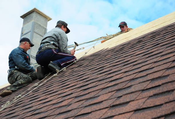 Best Local Roofing Companies  in Ashley, PA